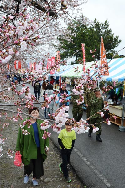 陸自駐屯地を開放 しんまち桜まつり 高崎 きたかんナビ