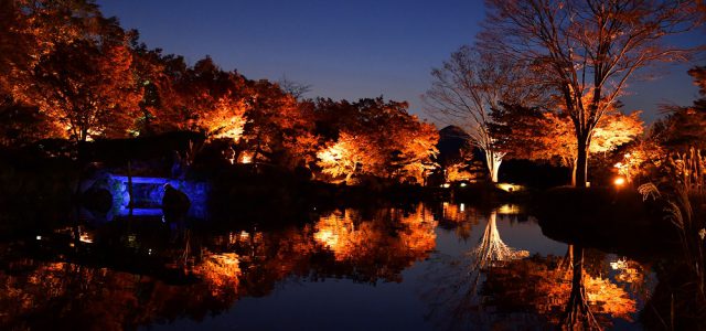 池に映る紅葉ライトアップ 藤岡 桜山公園 きたかんナビ