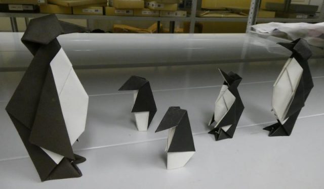 展示予定のペンギンの親子