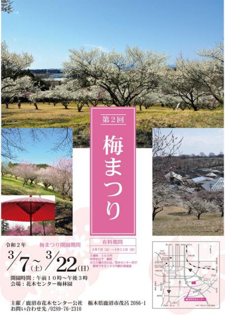 梅まつりのチラシ