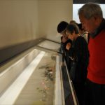 「菜蟲譜」が期間限定公開され多くの来場者が訪れている吉澤記念美術館